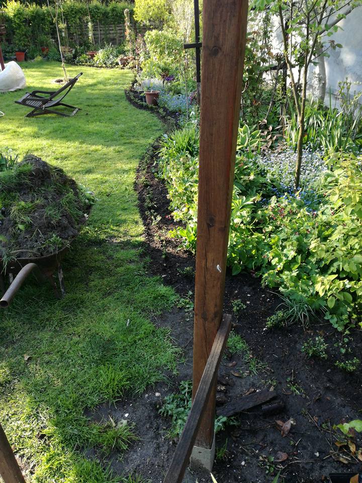 a Buxus helye